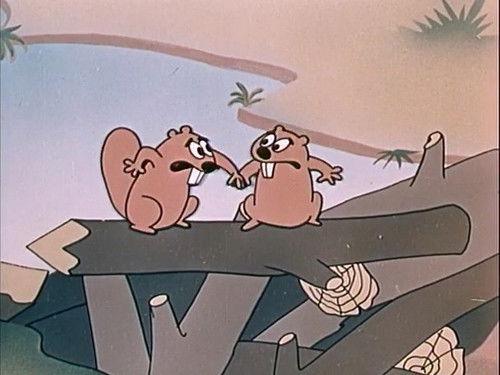 Popeye the Sailor Season 1 Episode 46 - Beaver or Not