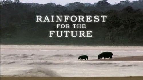Natural World Season 25 Episode 16 - Rainforests for the Future