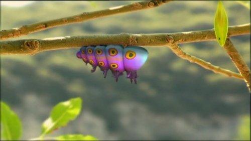 Minuscule: The Private Life of Insects Season 1 Episode 25 - Ugly
