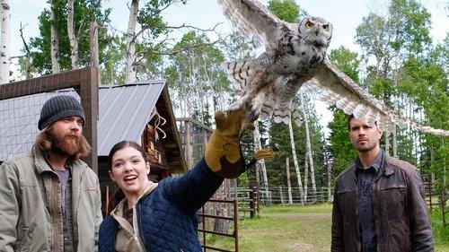 Heartland Season 8 Episode 3 - Severed Ties