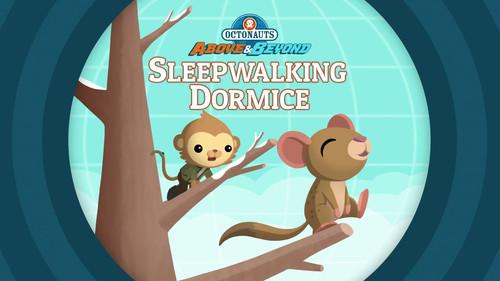 Octonauts: Above & Beyond Season 1 Episode 18 - The Octonauts and the Sleepwalking Dormice