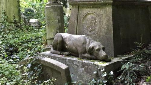 Paranormal Caught on Camera Season 2 Episode 15 - Ghost Dogs and More