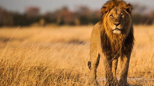 Savage Kingdom Season 2 Episode 3 - Reign of Traitors