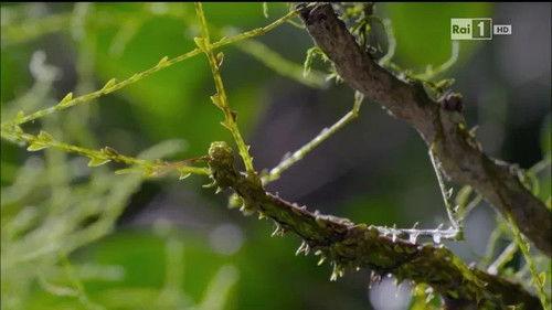 Superquark Season 23 Episode 1 - Episode 1