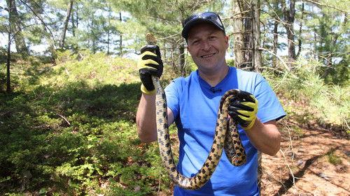 Louis and the Urban Jungle Season 2 Episode 4 - Episode 4