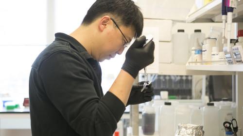 The Gene: An Intimate History Season 1 Episode 2 - Revolution in the Treatment of Disease