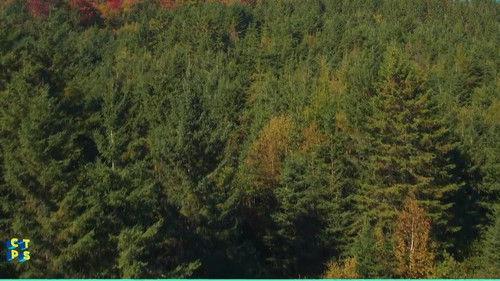 C'est toujours pas sorcier Season 2 Episode 14 - Episode 14