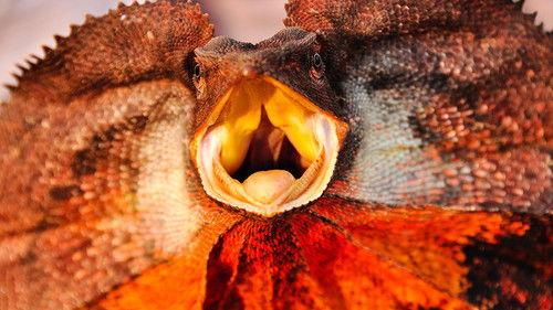 Australia Remastered Season 4 Episode 2 - Desert