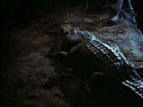 Swamp Thing Season 2 Episode 8 - Poisonous