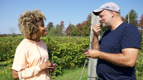 De par chez nous Season 2 Episode 10 - Episode 10