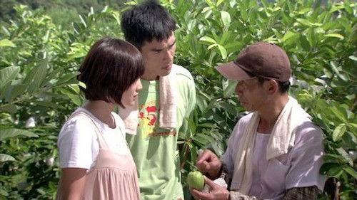 The Year of Happiness and Love Season 1 Episode 6 - Episode 6