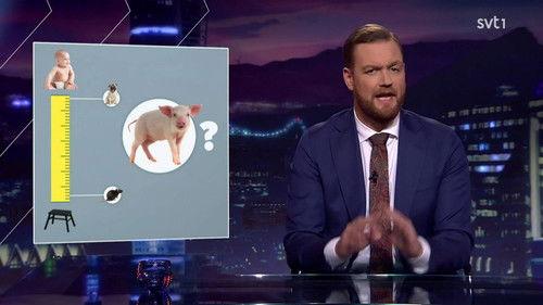 Svenska nyheter Season 4 Episode 9 - Episode 9