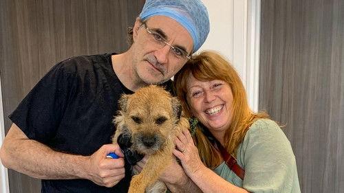The Supervet: Noel Fitzpatrick Season 18 Episode 3 - Episode 3