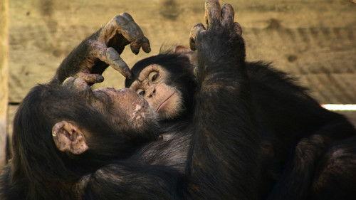 Dyrepasserne Season 6 Episode 9 - Episode 9