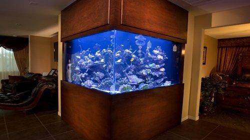 Tanked Season 3 Episode 19 - Legal Vending Machine