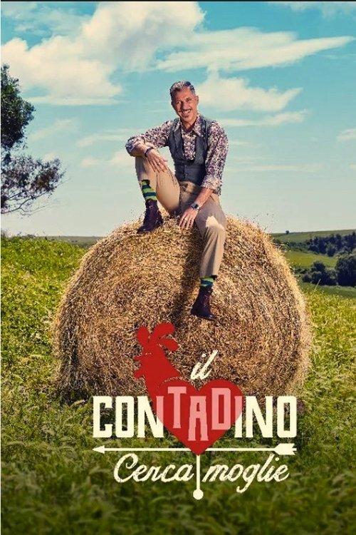 Bauer, ledig, sucht... poster