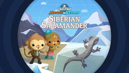 Octonauts: Above & Beyond Season 1 Episode 5 - The Octonauts and the Siberian Salamander