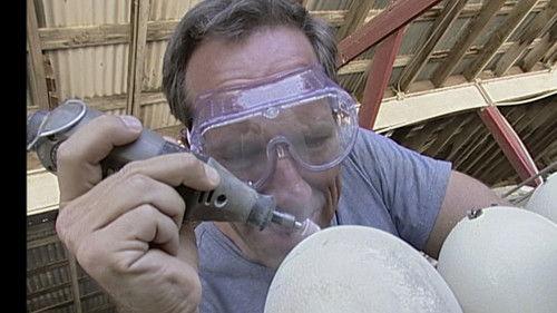 Dirty Jobs Season 1 Episode 7 - Hot Tar Roofer