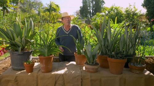 Gardening Australia Season 32 Episode 12 - Episode 12 Wendy Whiteley, Chook Coop Tips & Microfarms