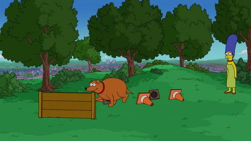 The Simpsons Season 37 Episode 14 - Irrational Treasure [800th episode]