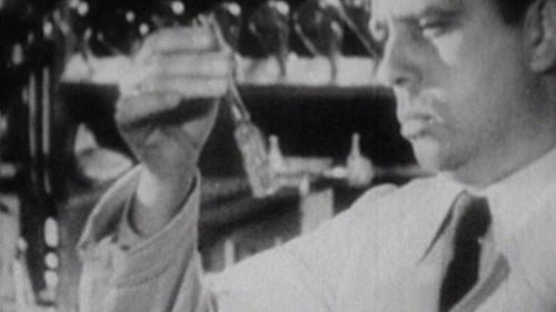 Project Nazi: The Blueprints of Evil Season 1 Episode 3 - The Industry of War