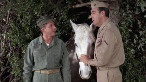 Gomer Pyle, U.S.M.C. Season 4 Episode 24 - Goodbye, Dolly