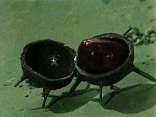 The Wombles Season 1 Episode 11 - The Conkering Hero