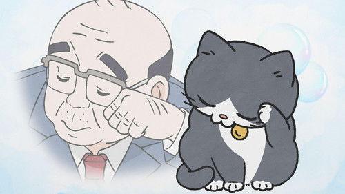 Cat Uncle: The Guy That Got Reincarnated As a Cat Season 1 Episode 7 - Episode 7