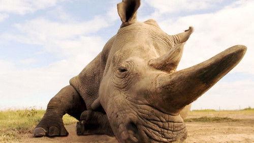 WELTjournal+ Season 2021 Episode 19 - Episode 19