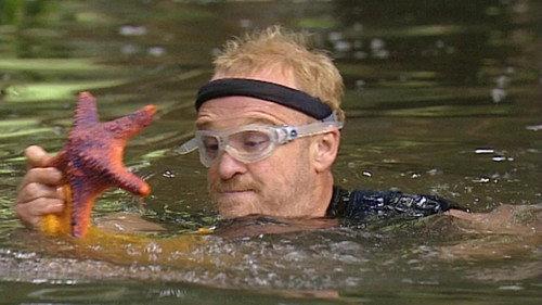 I'm a Celebrity...Get Me Out of Here! Season 2 Episode 8 - What Lies Within