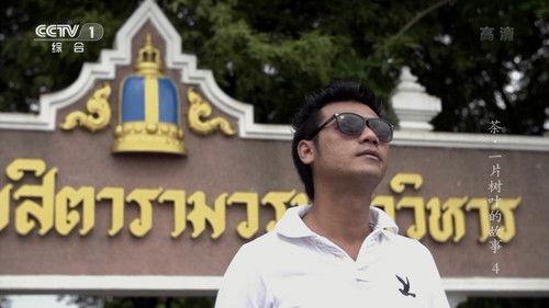 Tea: Story of the Leaf Season 1 Episode 4 - Episode 4