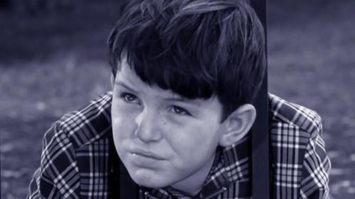 Leave It to Beaver Season 2 Episode 26 - The Price of Fame