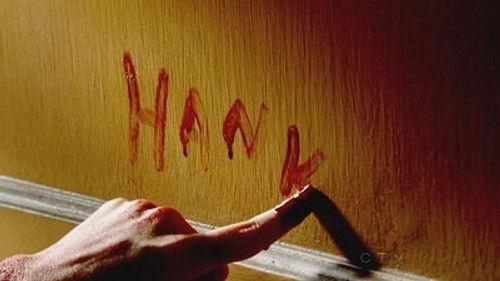 CSI: NY Season 8 Episode 5 - Air Apparant