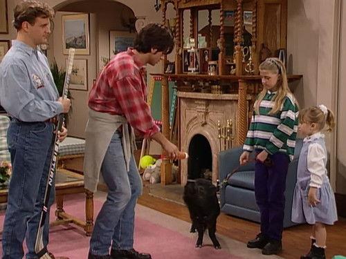 Full House Season 6 Episode 21 - Room for One More?