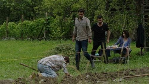 Whichever Way the Ball Bounces Season 1 Episode 10 - Episode 10