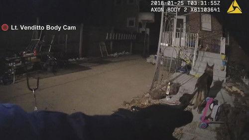 Body Cam Season 9 Episode 2 - K-9 Down