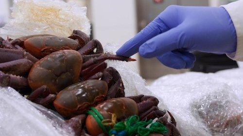 Border Control: Spain Season 5 Episode 1 - Episode 1