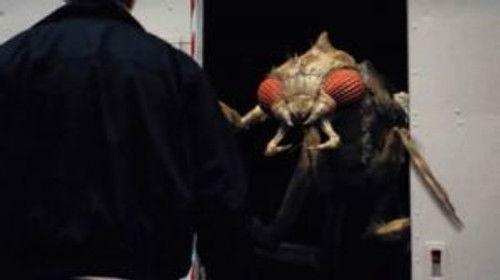 Primeval Season 3 Episode 8 - Oh, Brother!