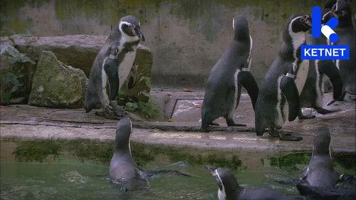 Mega Mindy Season 1 Episode 9 - Episode 9