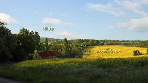 Minuscule: The Private Life of Insects Season 2 Episode 7 - The stubborn spider