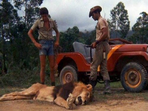 Tarzan Season 1 Episode 1 - Eyes of the Lion