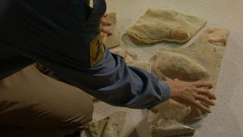 Andy's Dinosaur Adventures Season 1 Episode 8 - Iguanadon Footprint