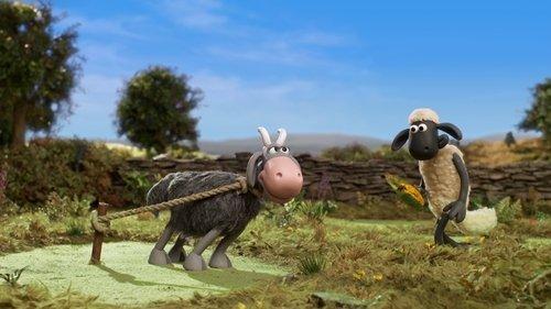 Shaun the Sheep: Adventures from Mossy Bottom Season 1 Episode 2 - Get Your Goat