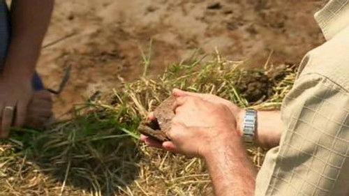 Time Team Season 14 Episode 6 - A Port and Stilton - Stilton, Cambridgeshire