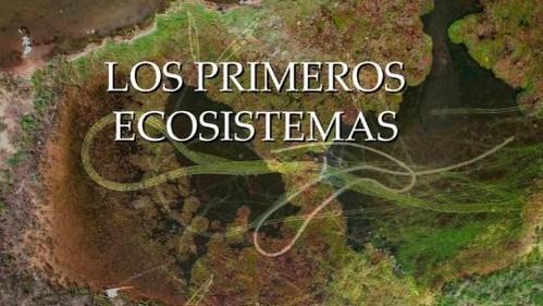 Planeta Microbio Season 1 Episode 8 - Episode 8