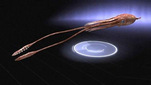 MonsterQuest Season 2 Episode 16 - Giant Squid Ambush