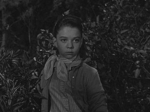 The Hardy Boys Season 1 Episode 10 - Female Detective