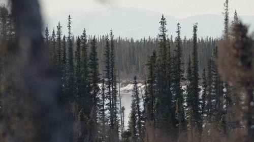 Alone Season 11 Episode 9 - The Wormhole