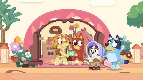 Bluey Season 1 Episode 41 - Mums and Dads