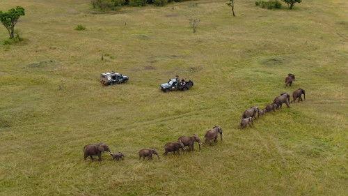 Equator from the Air Season 1 Episode 1 - Africa